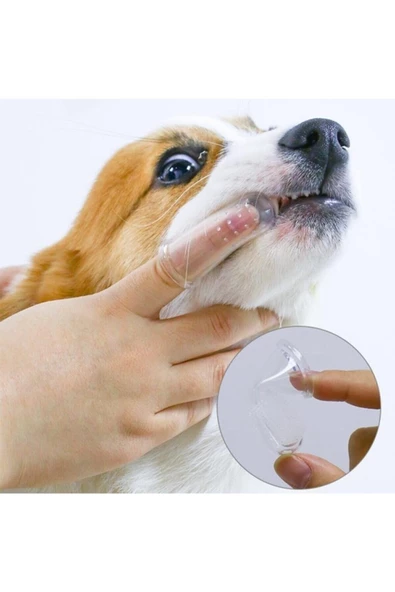 Pazariz Kedi Köpek Parmak Diş Fırçası 2'li Slikon ürün görseli 1