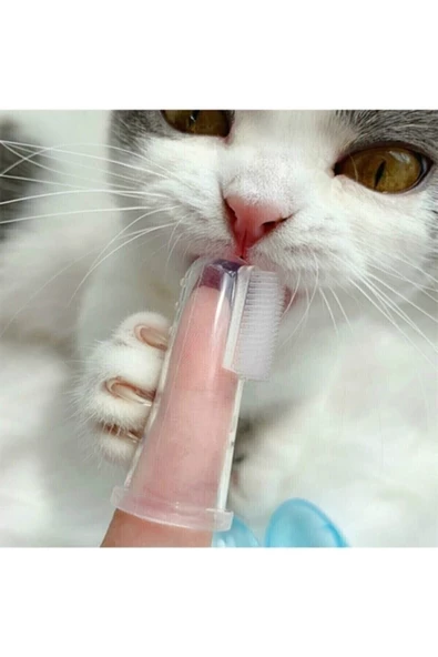 Pazariz Kedi Ve Köpek Parmak Diş Fırçası Saklama Kutulu Kolay Kullanımlı Evcil Hayvan Diş Bakım Fırç ürün görseli 1
