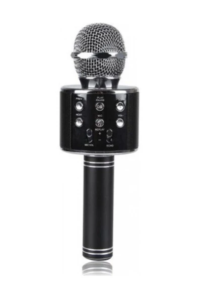 Pazariz Karaoke Mikrofon Bluetooth Sd Ve Usb Destekli 2019 Siyah ürün görseli 1