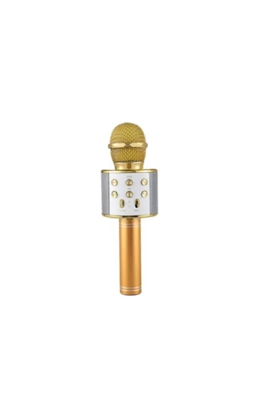 Pazariz Wster Ws-858 Usb-aux-sd Kart Girişli Wireless Bluetooth Karaoke Mikrofon - Gold ürün görseli 1
