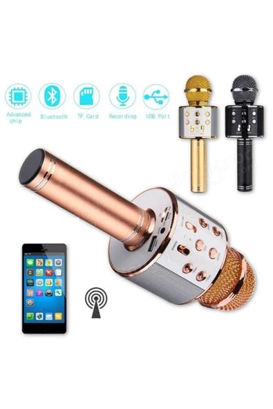 Pazariz Karaoke Mikrofonlu Hoparlör - Acl858 - Siyah ürün görseli 1