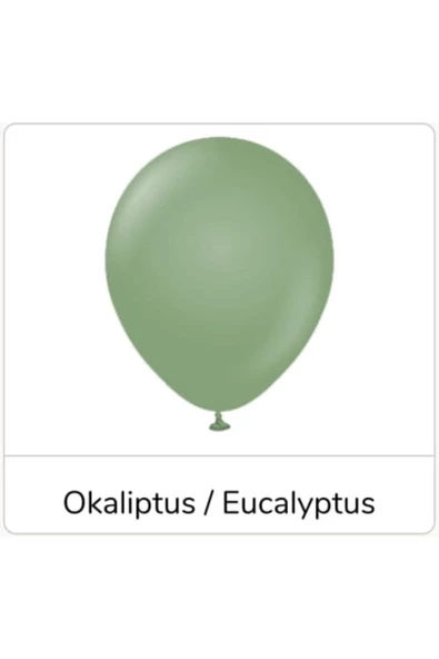 Pazariz 12" Retro Balon Okaliptus Renk 20 Adet ürün görseli 1