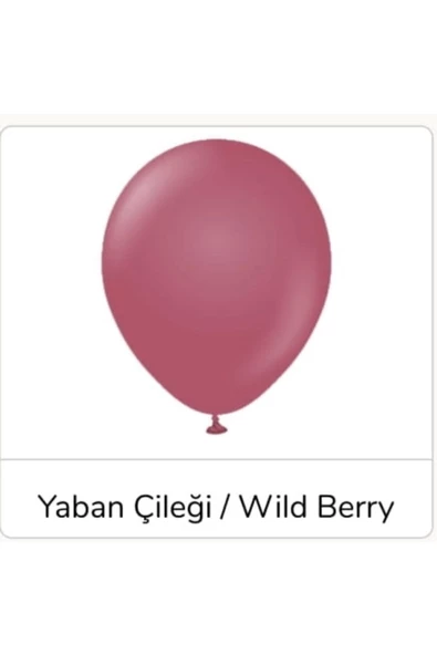 Pazariz 12 Inç Standart Boy Retro Balon 20 Adet Yaban Çileği ürün görseli 1