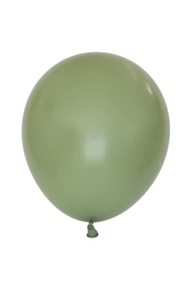 Pazariz 12 Inç Standart Boy Retro Balon 10 Adet Okaliptus ürün görseli 1