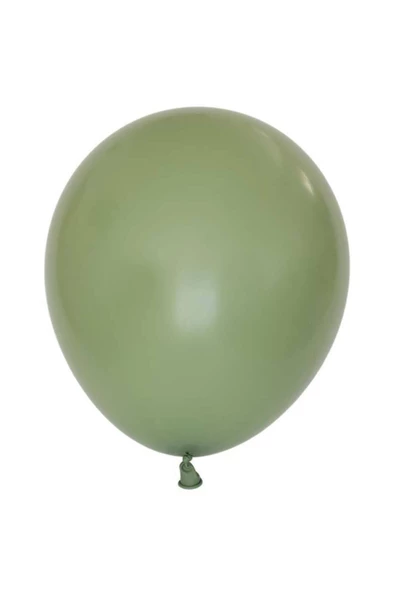 Pazariz 12 Inç Standart Boy Retro Balon 10 Adet Okaliptus ürün görseli 1