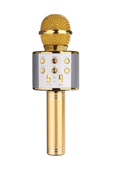Pazariz Profesyonel Karaoke Mikrofon Wster Ws-858 Modeli Gold ürün görseli 1