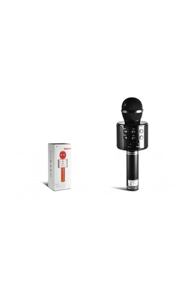 Pazariz Pl-2462 Fm Li Karaoke Mikrofon Kablosuz ürün görseli 1