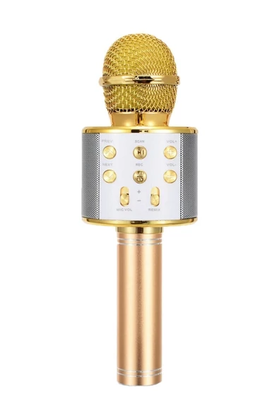 Pazariz Karaoke Bluetooth Mikrofon Gold ürün görseli 1