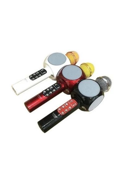 Pazariz Pl-2466 Bluetooth Karaoke Mikrofon Sd-usb ürün görseli 1
