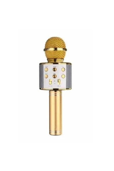 Pazariz Ws-858 Karaoke Mikrofon Bluetooth, Usb, Hafıza Kartı Ve Aux Girişli Metalik Sarı & ürün görseli 1