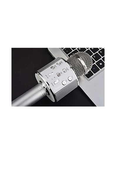 Pazariz Ws-858 Karaoke Mikrofon ürün görseli 1
