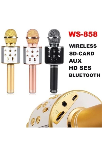 Pazariz Wster Ws-858 Karaoke Mikrofon ürün görseli 1