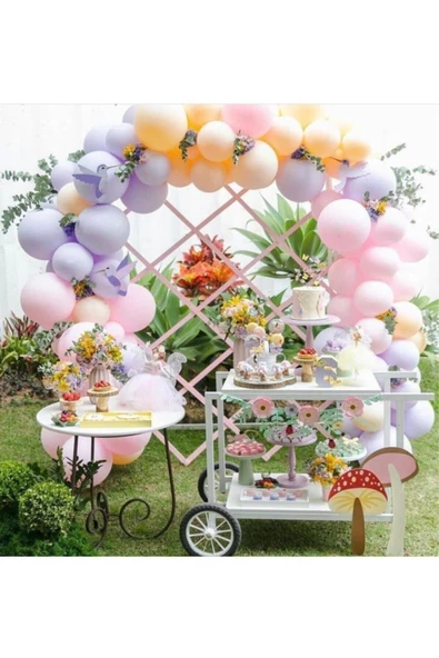 Pazariz Makaron Lila Pembe Somon Temalı Balon Ve Balon Zincir ürün görseli 1