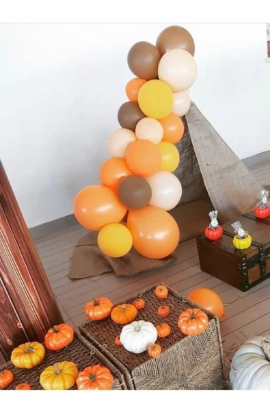 Pazariz Pastel Balon Konsept Balon Zinciri ürün görseli 1