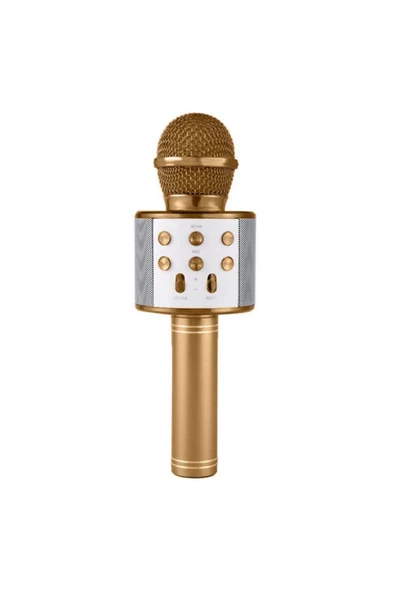 Pazariz Wster Ws-858 Gold Karaoke Mikrofon Bluetooth Hoparlör Aux Usb Mikro Sd Kart Girişli ürün görseli 1