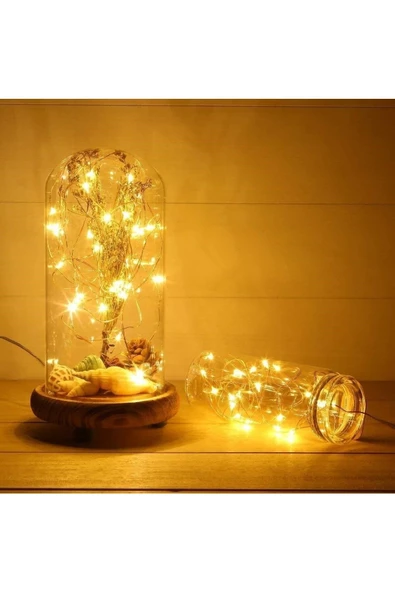 Pazariz Peri Led Işık 10 Metre Gün Işığı Lambası 100 Ledli ürün görseli 1