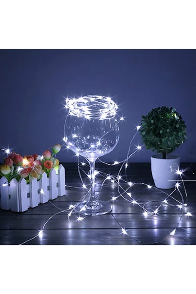 Pazariz Peri Led Işık 10 Metre Beyaz Dekor Lambası 100 Ledli ürün görseli 1