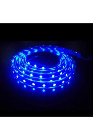Pazariz Şerit Led Mavi Dış Mekan 5 Metre Tek Çip ürün görseli 1