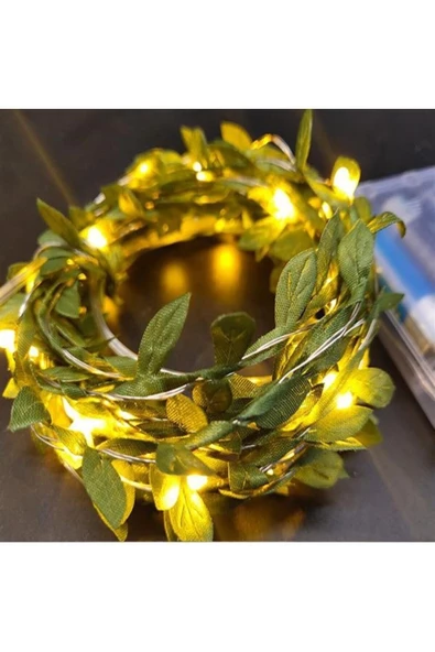Pazariz Yapraklı Lu 3 mt Peri Led Pilli Işık Yılbaşı Aydınlatma ürün görseli 1