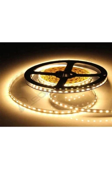 Pazariz 4040 Gün Işığı Şerit Led Iç Mekan - 1 Metre ürün görseli 1