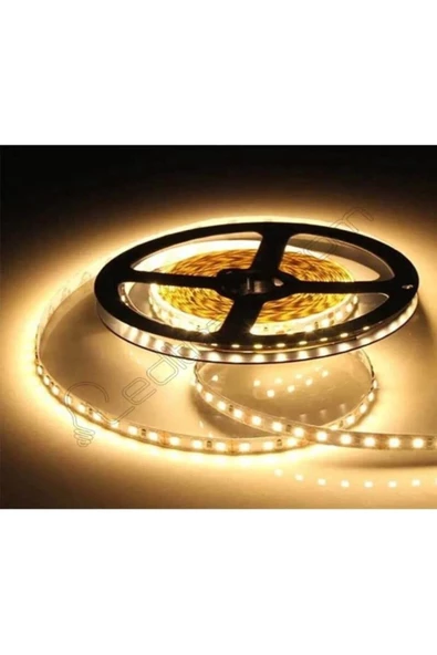 Pazariz 4040 Gün Işığı Şerit Led Iç Mekan - 5 Metre ürün görseli 1