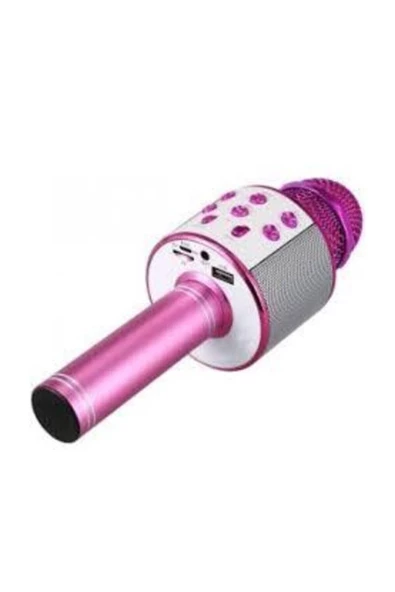 Pazariz Ws-858 Profesyonel Karaoke Mikrofon ürün görseli 1