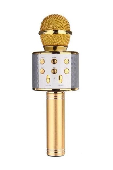 Pazariz Ws-858 Bluetooth*sd*aux*fm Kablosuz Gold Karaoke Mikrofon ürün görseli 1