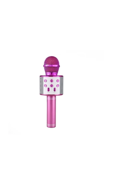 Pazariz Karaoke Mikrofon Dahili Hoparlörlü Usb Flash Destekli Ws-858 Pembe ürün görseli 1