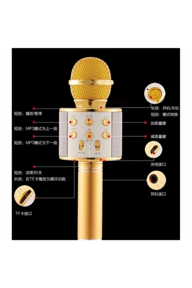 Pazariz Karaoke Mikrofon Bluetooth Hoparlör Usb Giriş ürün görseli 1