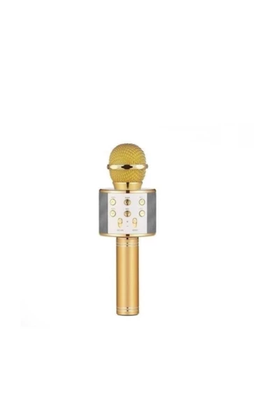 Pazariz Karaoke Mikrofon Dahili Hoparlörlü Usb Flash Destekli Ws-858 Gold ürün görseli 1