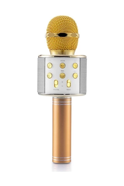 Pazariz Platoon Pl-2462 Bluetooth Karaoke Mikrofon Sd-usb Gold Rengi ürün görseli 1
