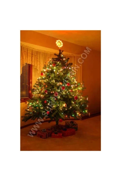 Pazariz 10 m Rgb 100 Led Fişli Noel Parti Yılbaşı Ağaç Dekoratif Aydınlatma Lambası Animasyonlu Süsleme ürün görseli 1