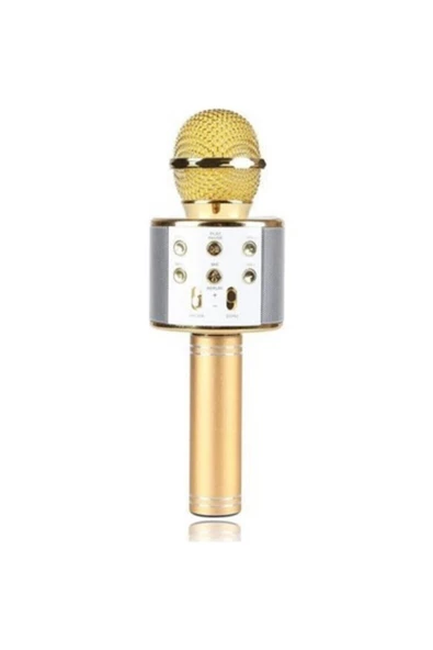 Pazariz Karaoke Mikrofon Dahili Hoparlörlü Usb Flash Destekli ürün görseli 1