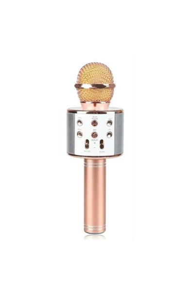 Pazariz Karaoke Mikrofon Dahili Hoparlörlü Usb Flash Destekli ürün görseli 1