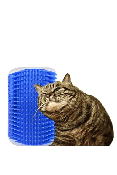 Pazariz Pazarız Köşe Kedi Kaşıma Masaj Fırçası Tüy Toplama ürün görseli 1