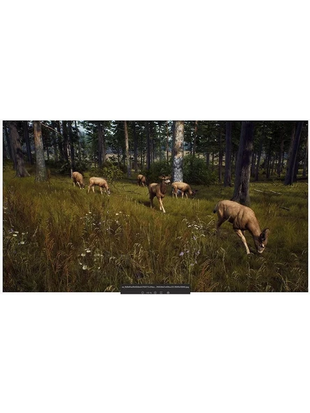 Way Of Hunter - PS5 Oyun - Resim 3