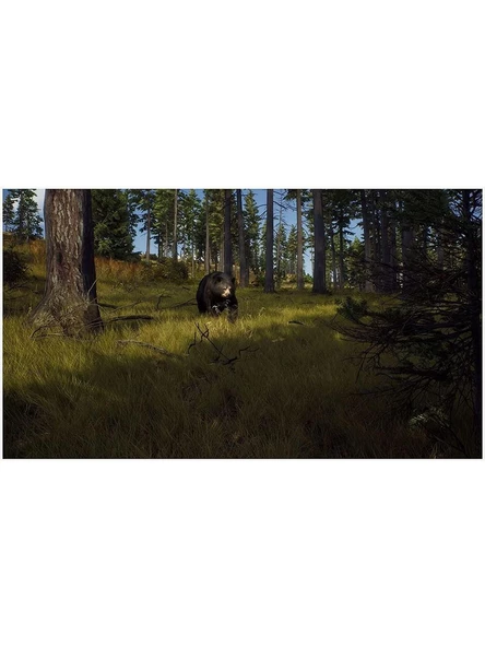 Way Of Hunter - PS5 Oyun - Resim 2