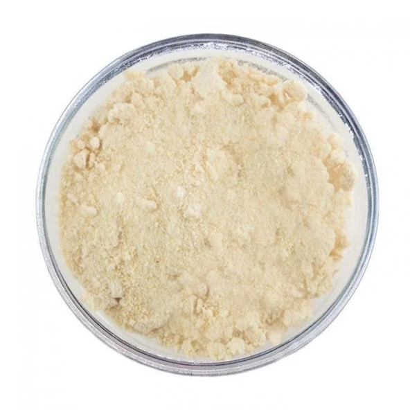 Soğan Tozu 1kg - Resim 2
