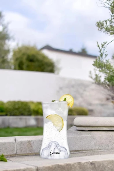 CAMBU TİTANİC MEŞRUBAT BARDAĞI 350 ML ürün görseli 1