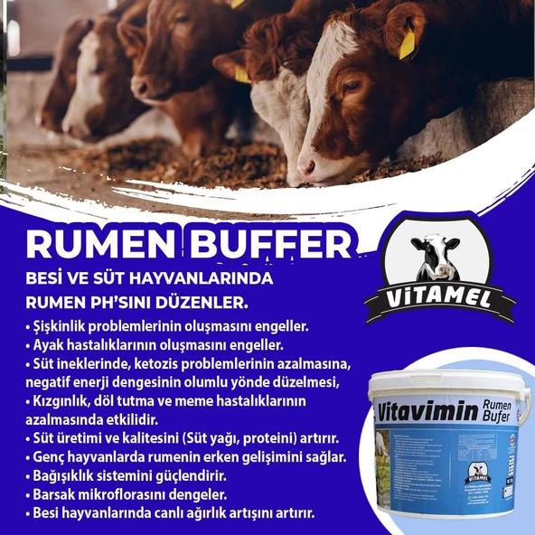 Vitavimin S500 Rumen Buffer - Resim 2
