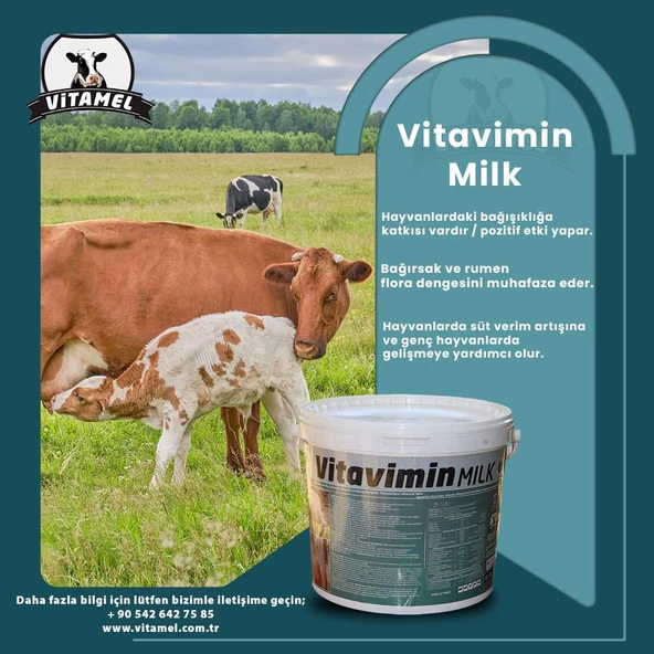 Vitavimin MİLK Sağmal Inekler Için Yem Katkı Maddesi ürün görseli 1