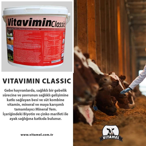 Vitavimin Classic Kova - Resim 2