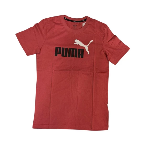 PUMA ESS 2 COL LOGO TEE ERKEK TSHİRT ürün görseli 1