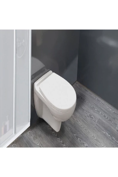 Ece Banyo Ece Karizma A20 Klozet Kapağı - Yavaş Kapanma-Duroplast Metal Menteşe-Üstten Sıkmalı - Tak Çıkart ürün görseli 1