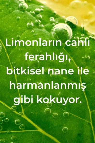 Method Lemon Mint Elde Bulaşık Deterjanı 532ML - Resim 3