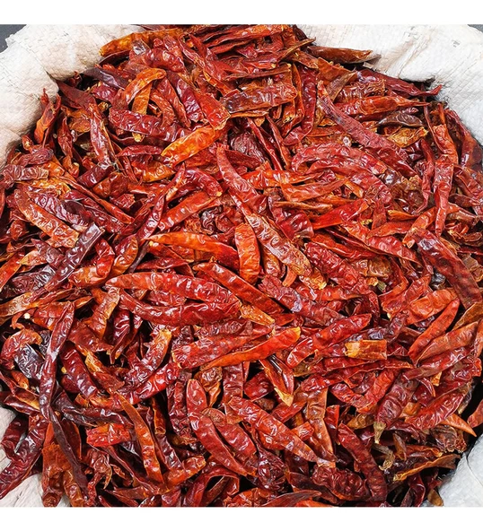 Kuru Tane Meksika Atom Süs Hint Biberi 100 gr Ekstra Zehir Acı  Piskopat Acı Biber ürün görseli 1