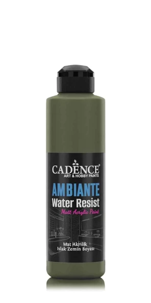 AMBIENTE SUYA DAY. AKR. BOYA AW-15 CEVİZ 250ML + KATALİZÖR 10GR ürün görseli 1