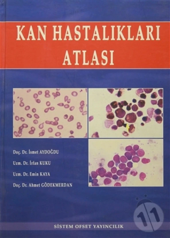 KAN HASTALIKLARI ATLASI -SİSTEM OFSET ürün görseli 1