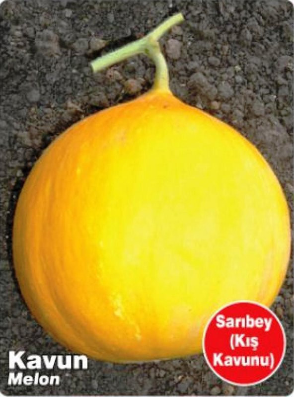 ATA TOHUMU YERLİ KAVUN SARIBEY 100 ADET TOHUM ürün görseli 1