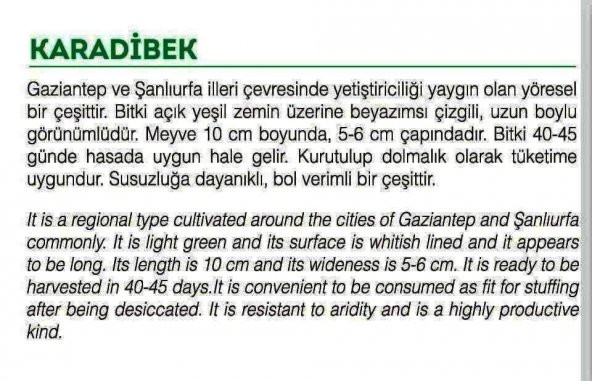 ATA TOHUMU YERLİ KARADİBEK ACUR 100 ADET TOHUM ürün görseli 1